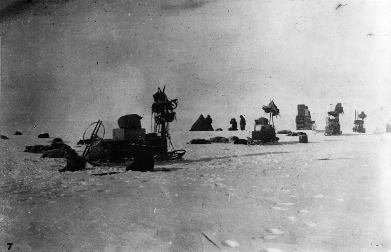 Amundsen's South Pole expedition camp: sledges, dogs, and tents on the Antarctic plateau.