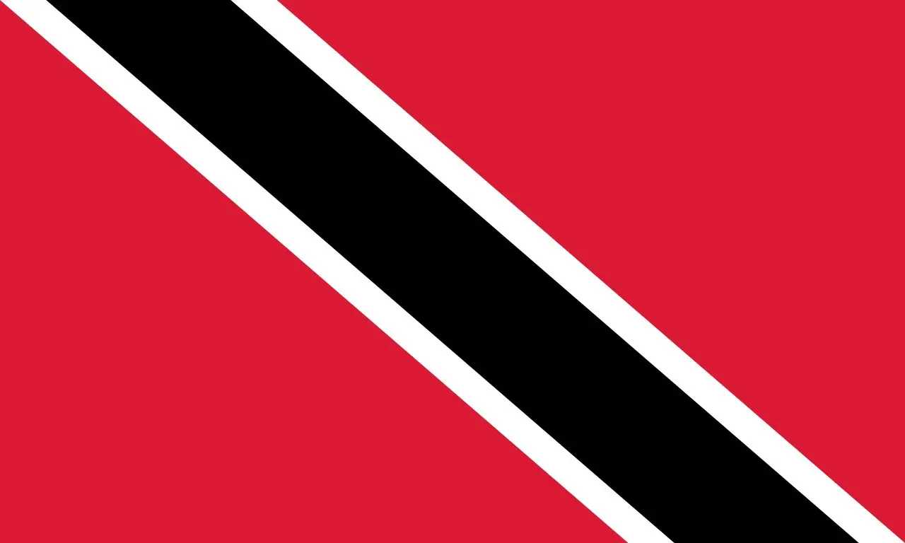 The national flag of Trinidad and Tobago: red with a black diagonal band edged in white.