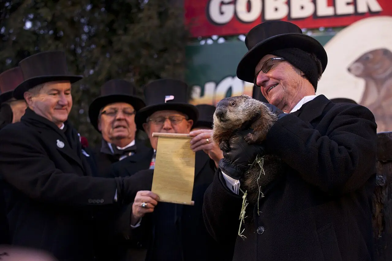 Punxsutawney Phil the groundhog held aloft by a top-hatted member of the Groundhog Club at Gobbler's Knob on Groundhog Day.