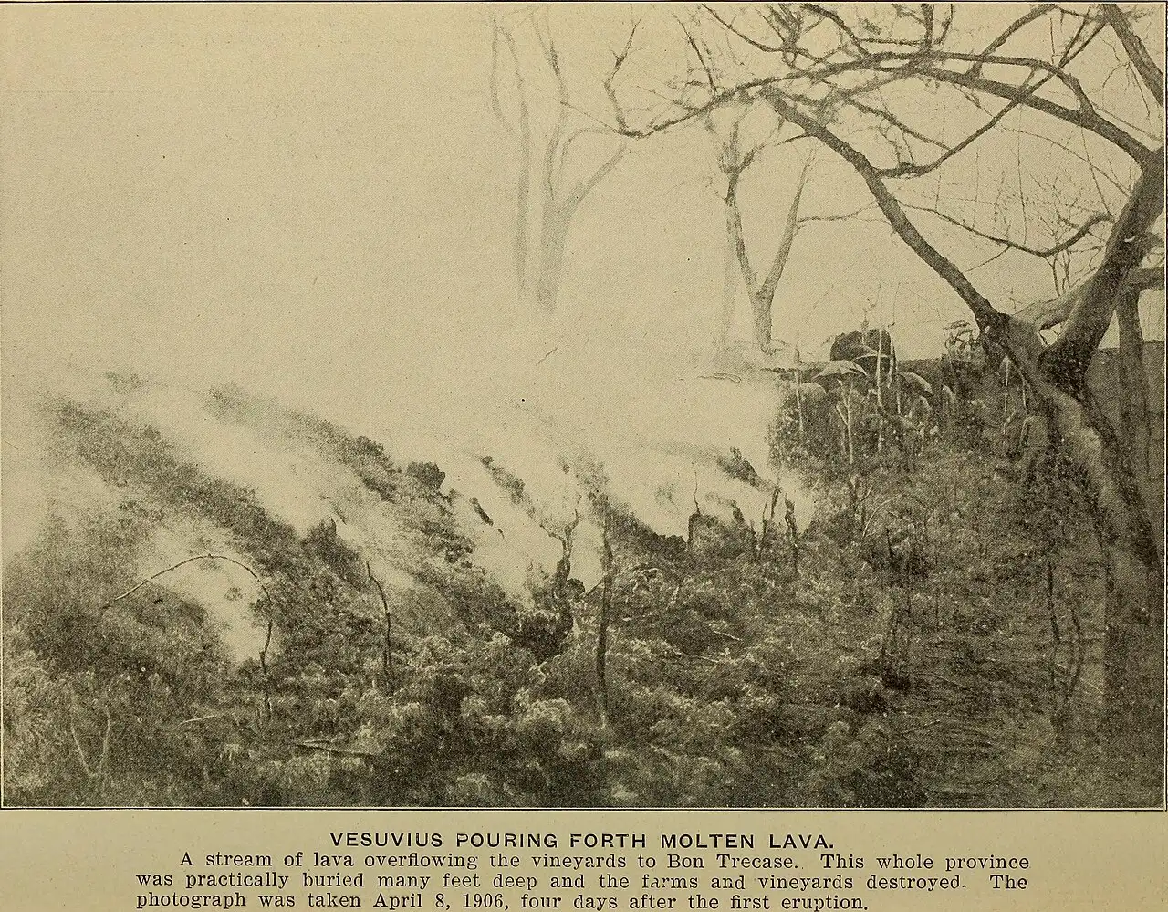 A 1906 photograph showing a stream of lava from Mount Vesuvius overflowing vineyards near Boscotrecase; the original caption notes it was taken April 8, 1906.