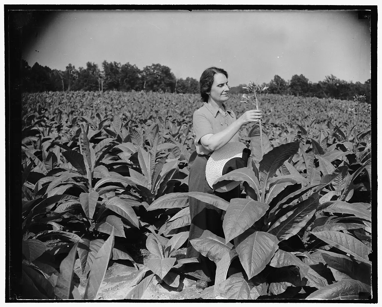 Nellie Tayloe Ross seated outdoors on the steps of a farmhouse in 1938, while she was Director of the U.S. Mint.