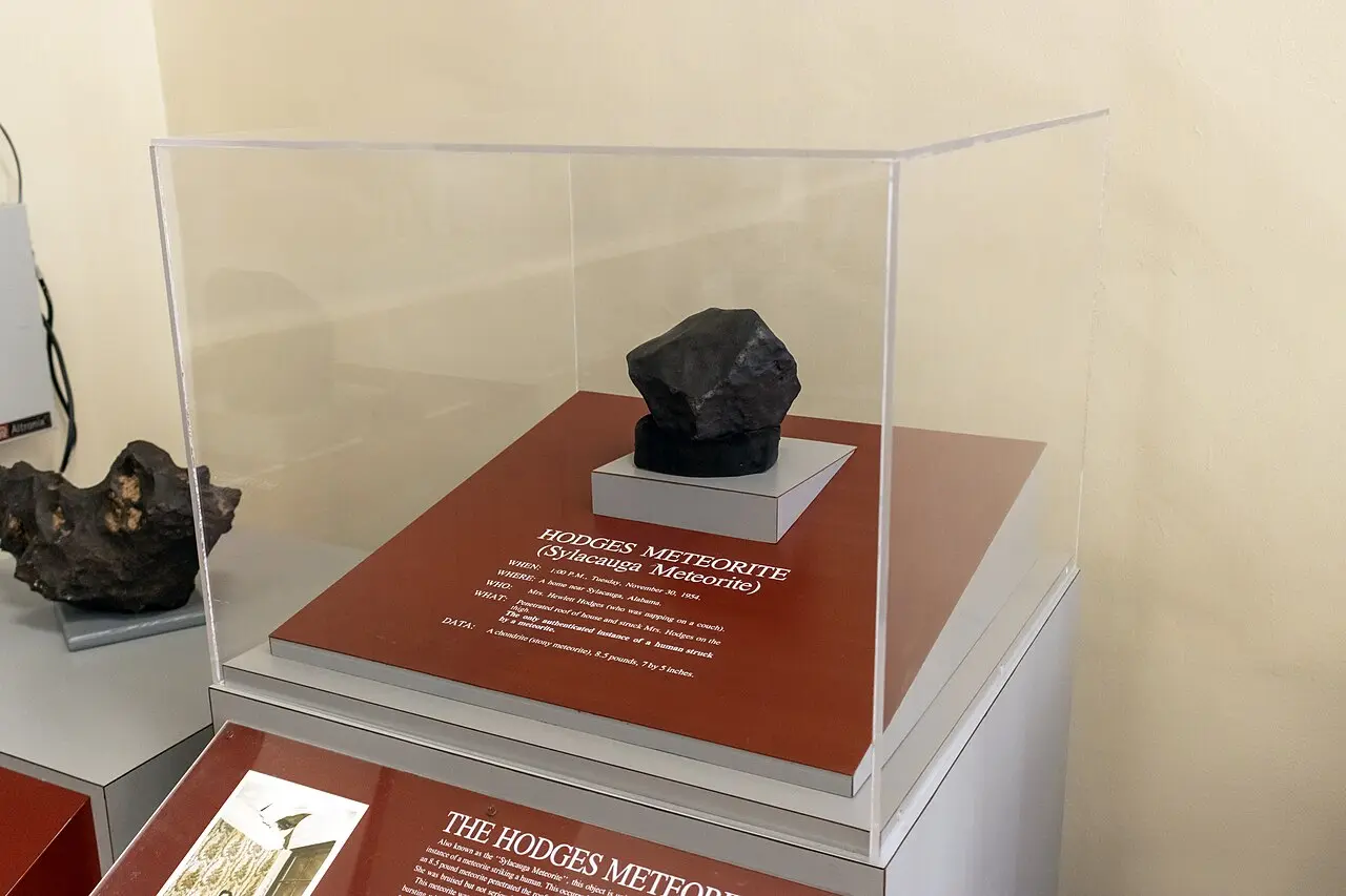 The Hodges meteorite on display in a case at the Alabama Museum of Natural History, with its exhibit label describing the November 30, 1954 strike (modern photograph).
