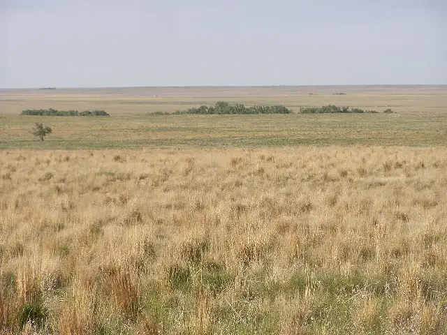 Open prairie and cottonwoods at the Sand Creek Massacre National Historic Site in Colorado, photographed in the present day (illustrative; no photographs of the 1864 attack are known to exist).