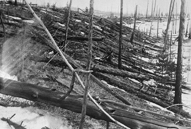 Trees flattened and scorched by the 1908 Tunguska blast, photographed during Leonid Kulik's 1929 expedition to the site
