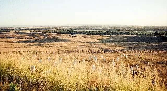 Rolling golden grassland of the Little Bighorn battlefield in Montana, with white markers scattered across the field where soldiers fell.
