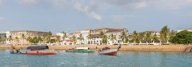 Colorful wooden dhows anchored in the harbor of Stone Town, Zanzibar, with palm trees and colonial-era waterfront buildings behind them.