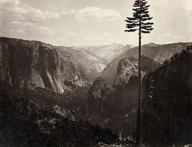 Sepia albumen print of Yosemite Valley from around 1865, showing granite cliffs, a waterfall, and Half Dome beyond a lone pine tree